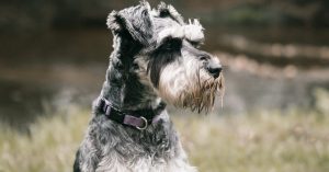 Chicago Fulton River District Parking