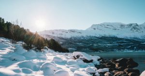 Chicago Irving Woods Parking