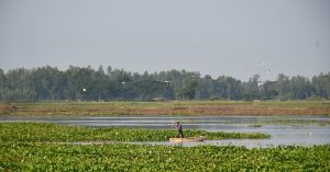 Chicago Lakeview Parking