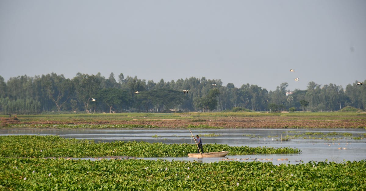 Chicago Lakeview Parking