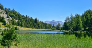 Chicago Montclare Parking