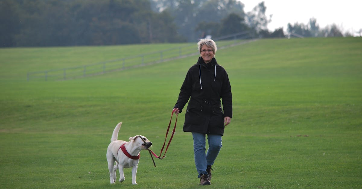 Chicago Vittum Park Parking