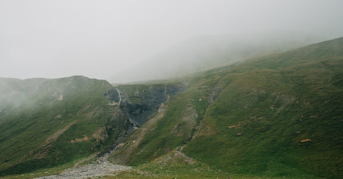 Chicago West Ridge Parking