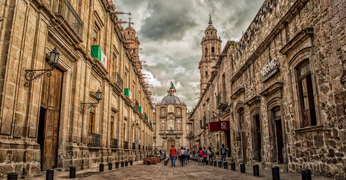 Chicago West Town Parking